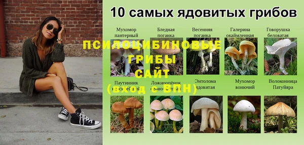 героин Белокуриха