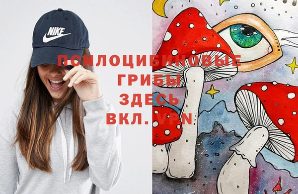 MDMA Беломорск